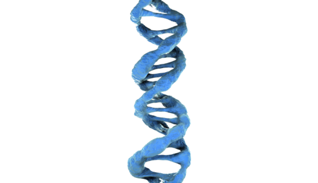 El modelo de doble hélice