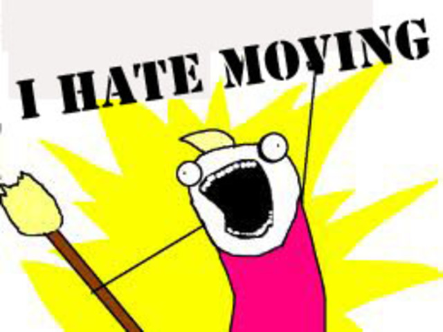 Bruno hate Out-Wit so much.