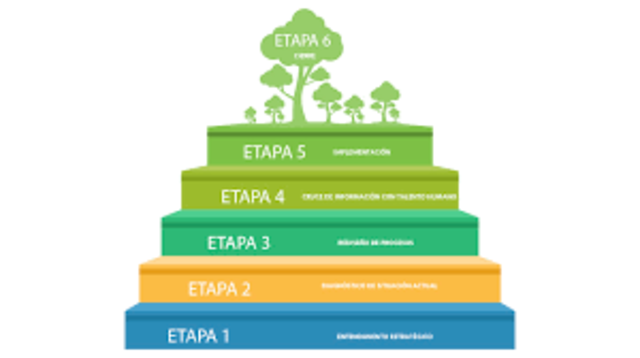 procedimientos estandandarizados