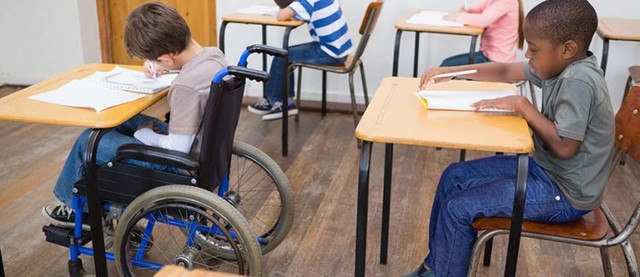 Rehabilitation Act (Section 504)