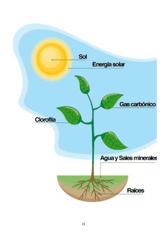 Jan Baptiste van Helmont