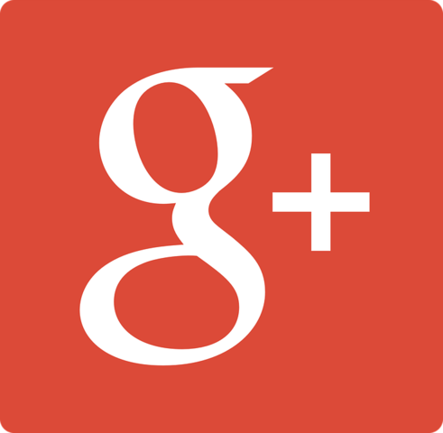 Google +
