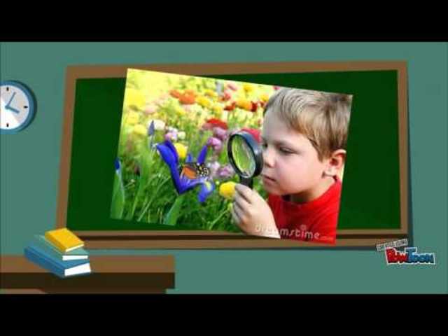 Currículo 1970 a 1975