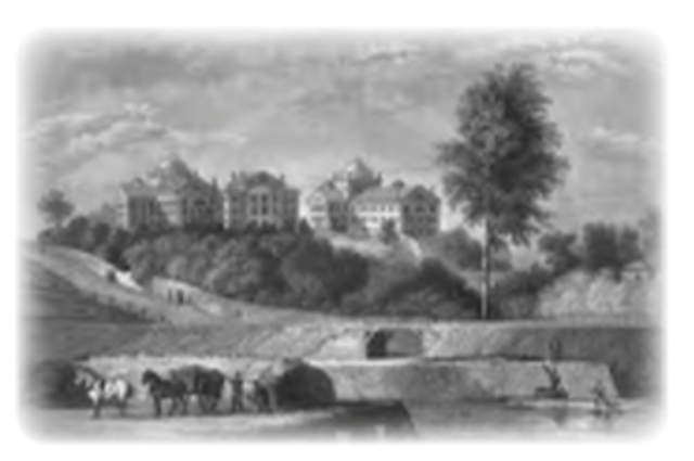 Mclean Asylum opens its doors