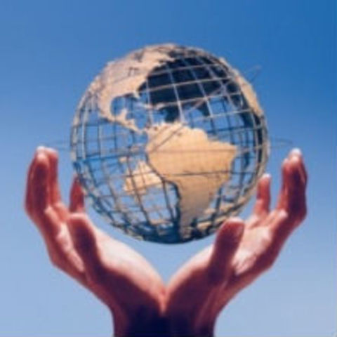 Organizacion empresarial