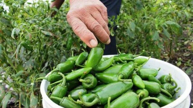 Reformas en el artículo 27