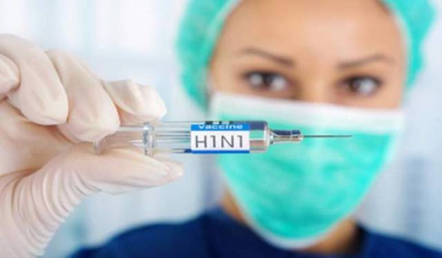 H1N1 pandemia de gripa.