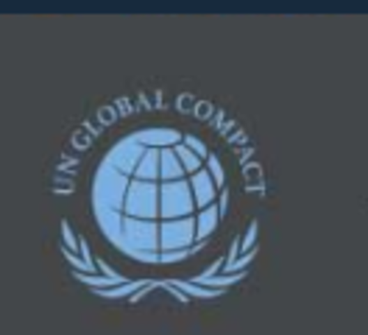 Observador en la asamblea de las Naciones Unidas