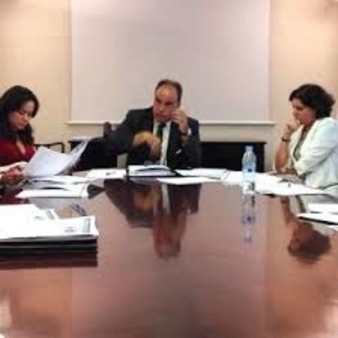 Organismo Consultivo