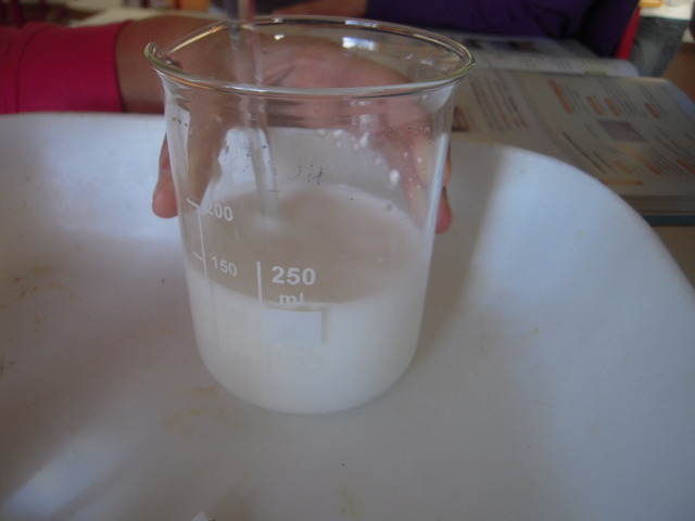 Tentativa de dissolução de farinha em água