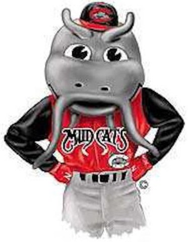 The day I joined a travel baseball team