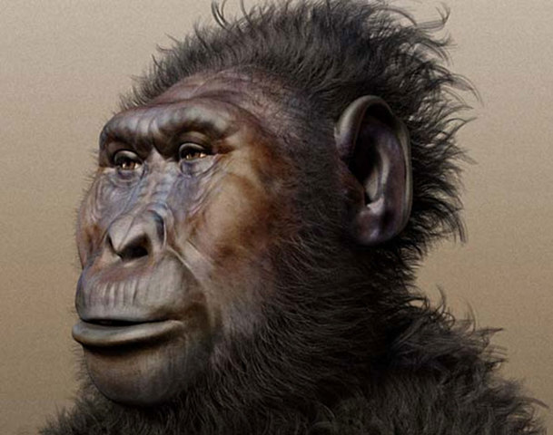Paranthropus Boisei