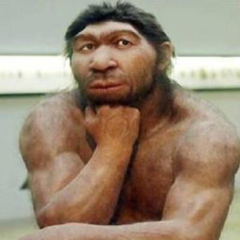 Homo Sapiens Neanderthalis