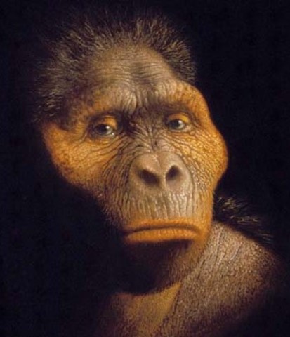 Paranthrapus Robustus