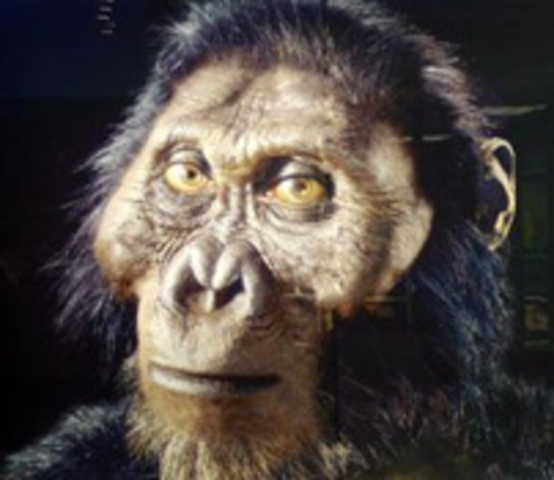 Paranthropus Aethipicus