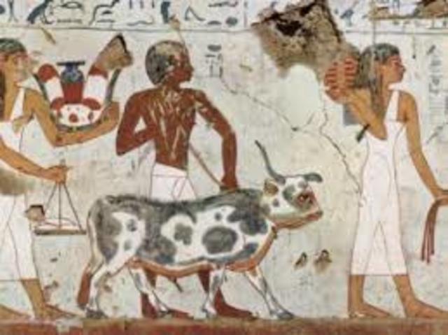 REFERENCIAS EN TORNO A LOS ACCIDENTES