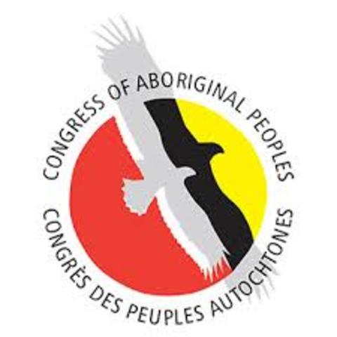 1968 National Indian Brotherhood  & Native Council of Canada Formed