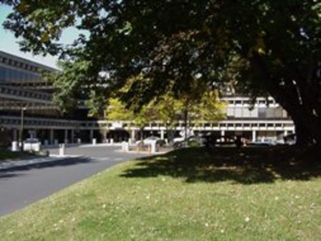 Peer Bridger Team starts up