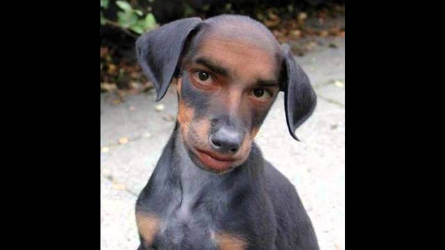 El hombre que se convirtió en Perro