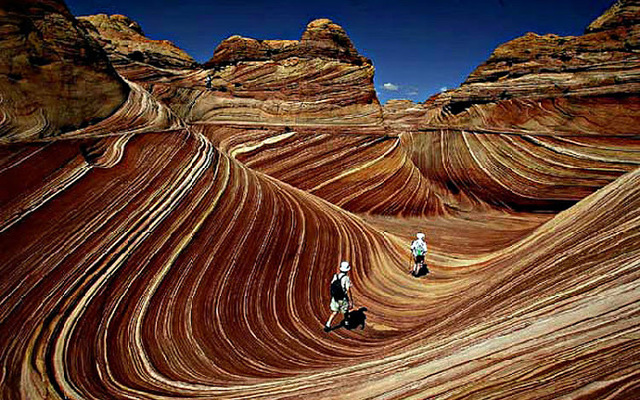 Nacimientos cientificos