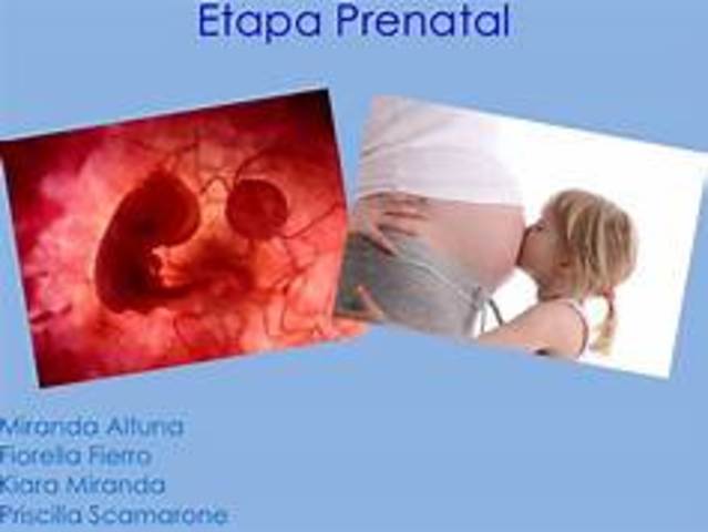 PRENATAL