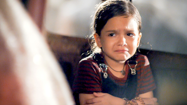 3 - Decisión del Comité sobre admisibilidad