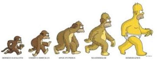 Nuevos escenarios para la antropología