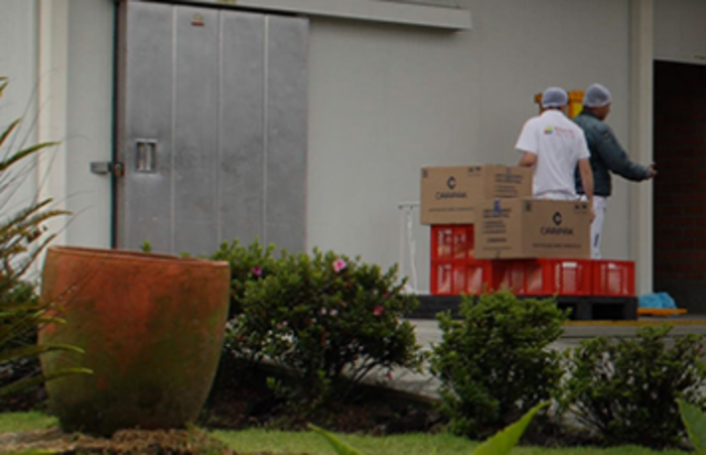 Fundación Proveg Ltda