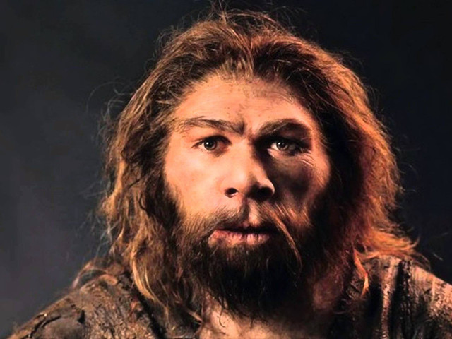 Homo neanderthalensis