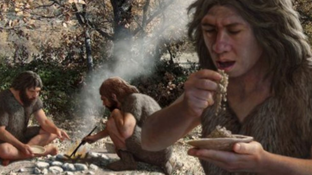 Van desenvolupar una dieta més variada