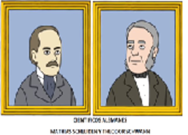 Mathias Scheliden Y Theodor Schwann