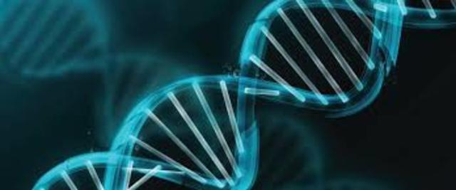 Últimos avances científicos