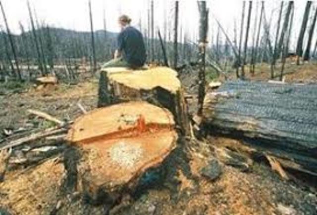 MODIFICACIÓN DE LOS  HÁBITATS