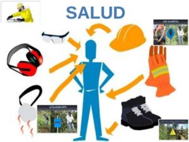 Organizacion y Administracion de la Salud Ocupacional.