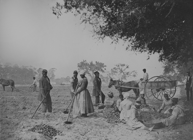 Fighting to End Slavery