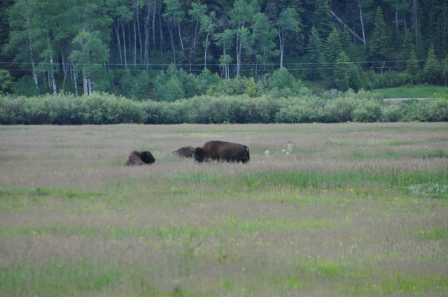 First Day Grand Tetons