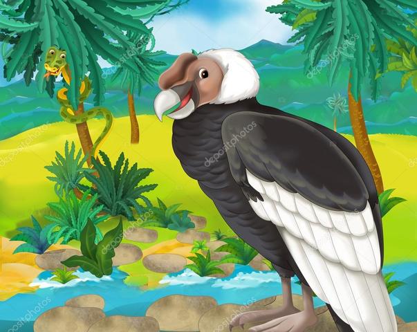 EL CÓNDOR DE NUESTRO ESCUDO