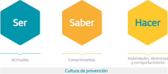 LA EDUCACIÓN EN LA CONSTITUCIÓN