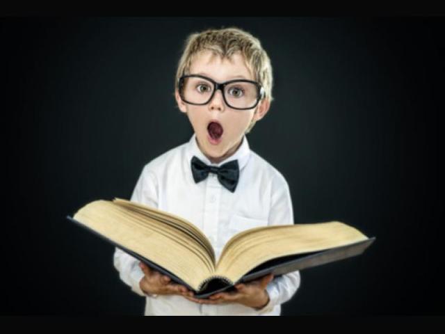 Investigación Kamii y Manning