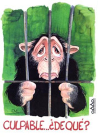 ¿QUÉ PODEMOS HACER?