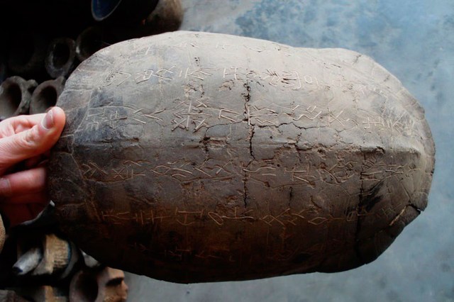 Primeras inscripciones chinas sobre caparazones de tortugas.