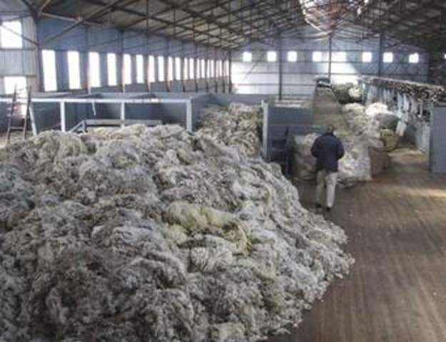 LEY MORAL DE LOS APRENDICES Y SALUD