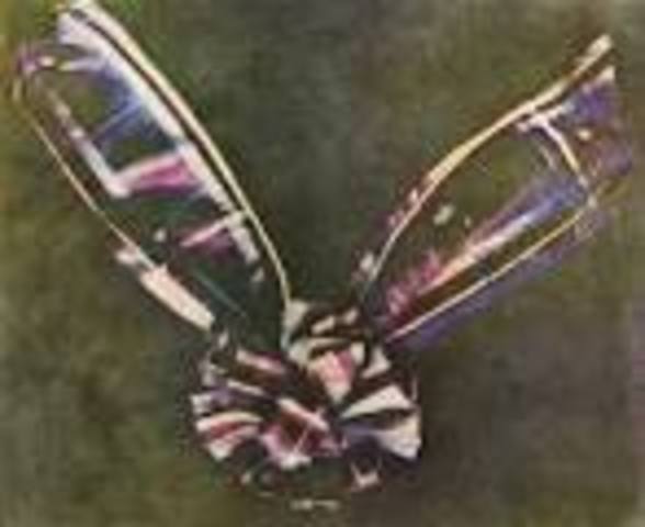 The first color photograph