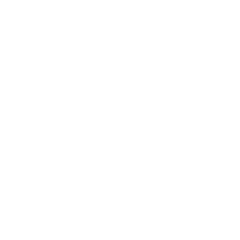 Etapa: Evolución: (Década de los 80's).