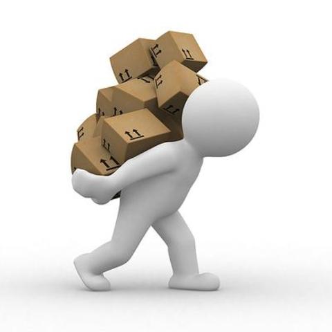 Etapa: Evolución: (Década de los 80's).