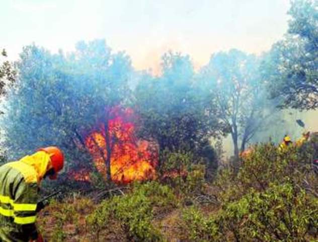 Amenazas al ambiente