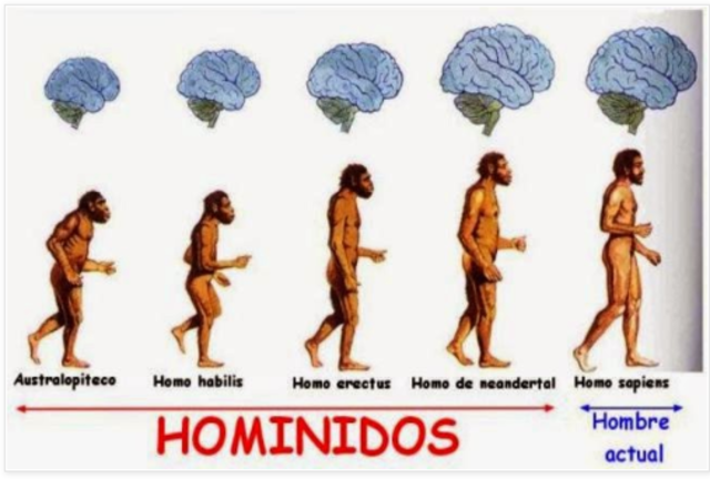 HOMIDIOS