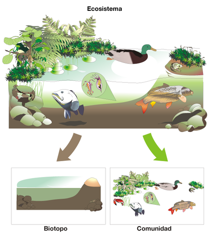 ALFRED NORTH WHITEHEAD