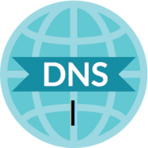 LLEGADA DEL DNS