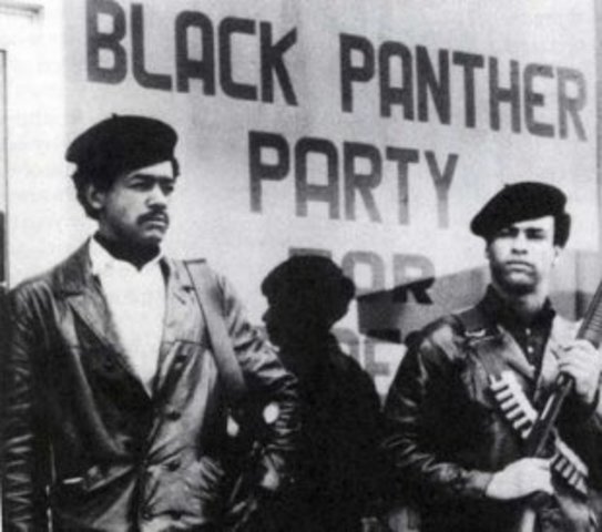 The Black Panthers